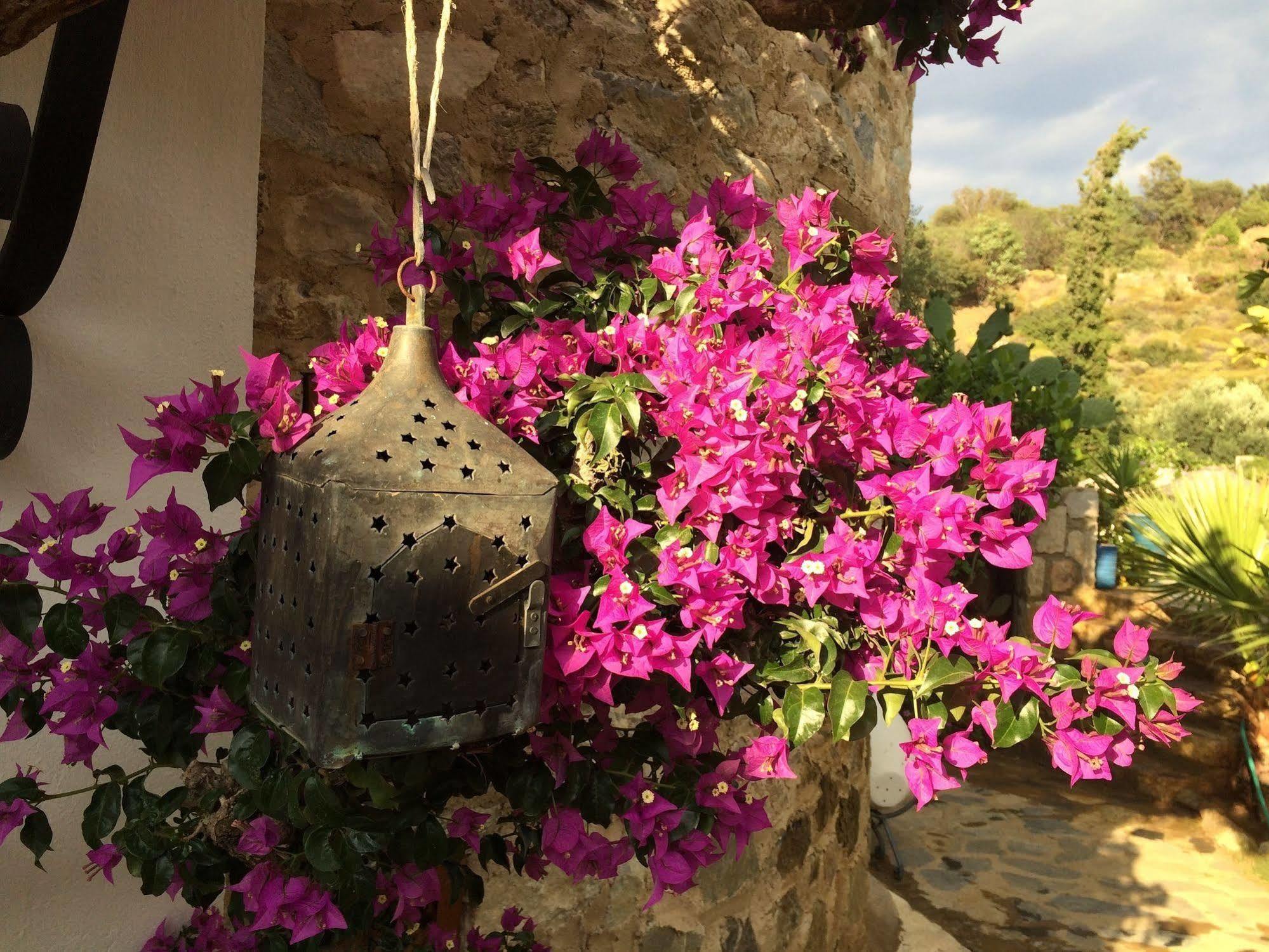 Hotel Villa Tokur Datça Buitenkant foto